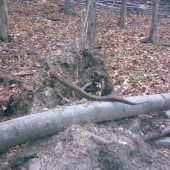 len tak si tam ležal 1