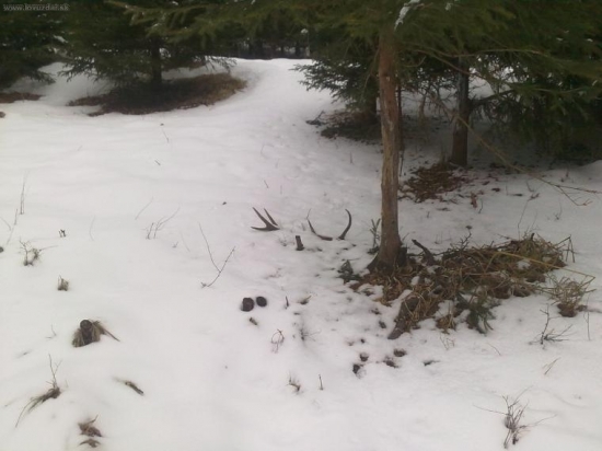 ten pohlad stál za to