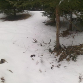 ten pohlad stál za to