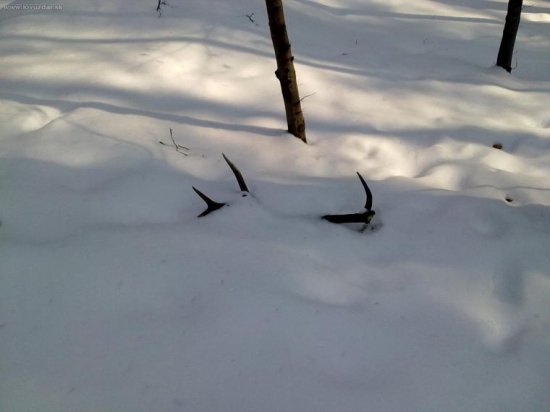 ani dnes ma šťastie neopustilo