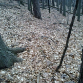 nechcelo sa mi veriť