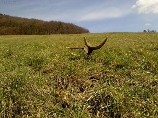 druhý z dnešnej trojice