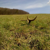 druhý z dnešnej trojice