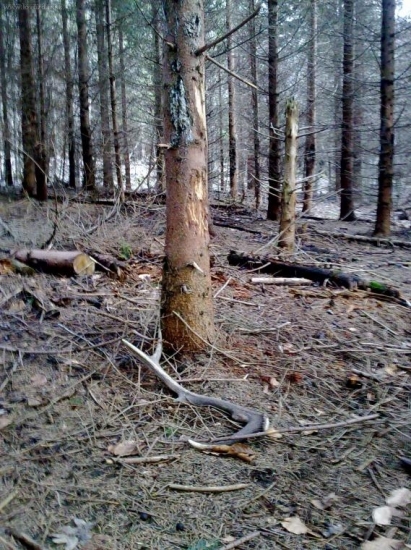 tretí z dnešnej trojky