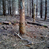 tretí z dnešnej trojky