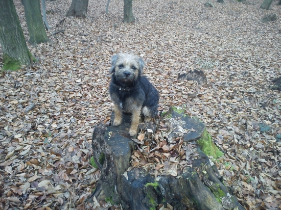 Nemožem vždy len behať