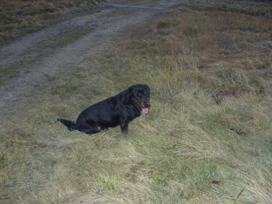 Na prechadzke s Andym