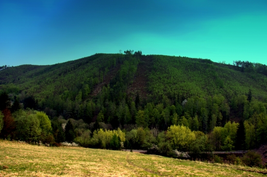 cestou do Vrícka