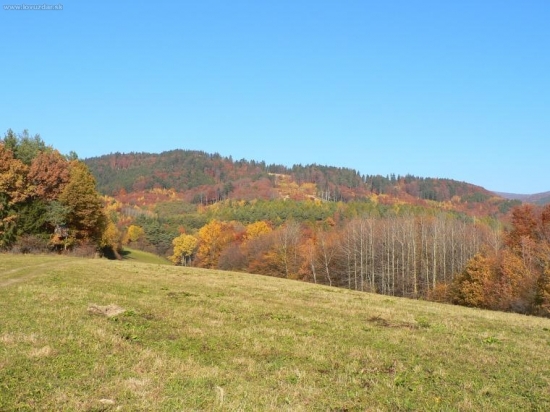 Jesen-na prechádzke