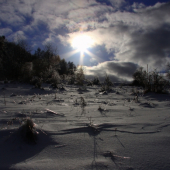 Dnešná prechádzka