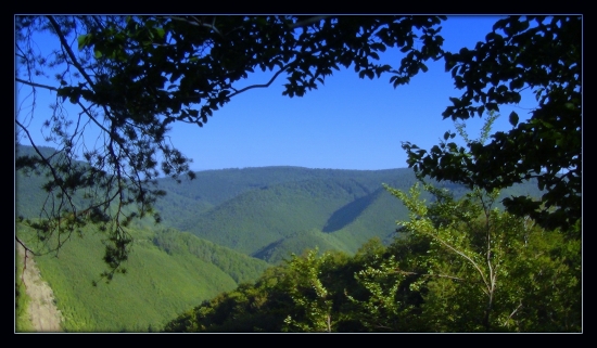 podvečer