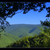 podvečer