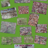 Moje a kamarátove za jeden den