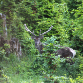 dnešné prekvapenie