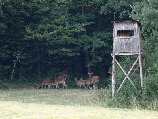 dnes ráno pod posedom