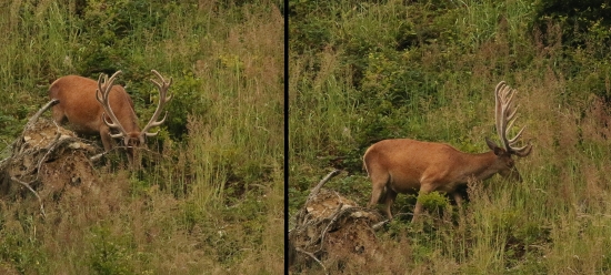 včerajší fešák