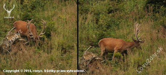 včerajší fešák