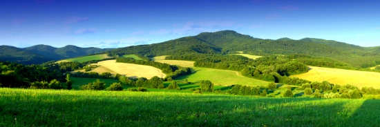pod Vyšehradom
