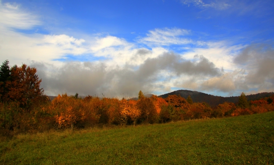 lúky nad Jasenovom