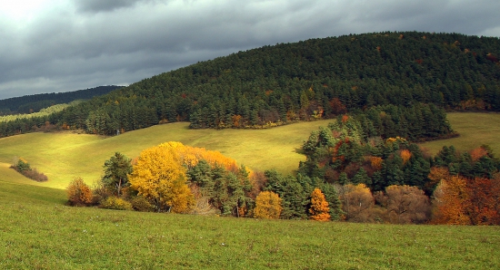 Kypík