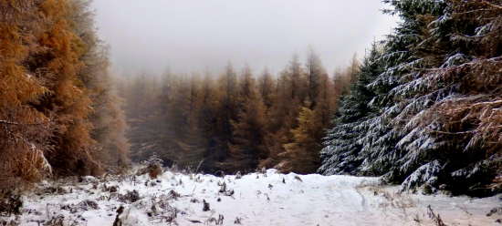 Fačkovské sedlo
