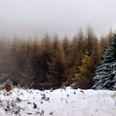 Fačkovské sedlo