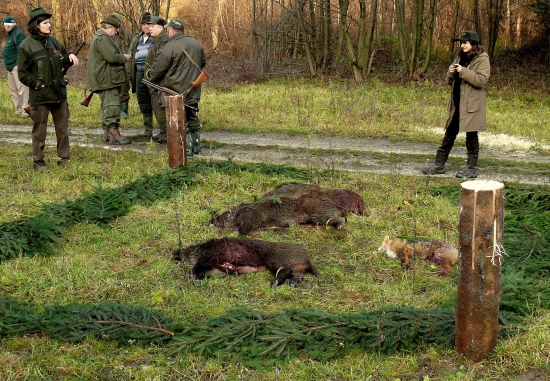 Výrad