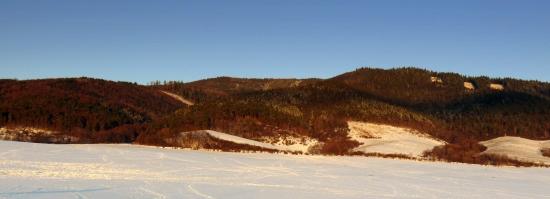 Tužina