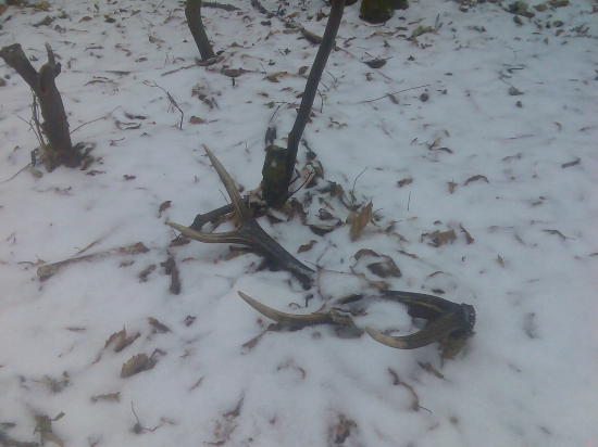 z dnešnej prechádzky