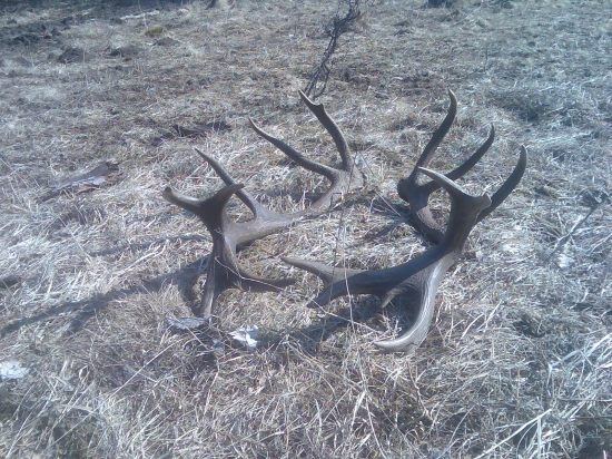 ešte raz 20 torák...