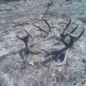 ešte raz 20 torák...