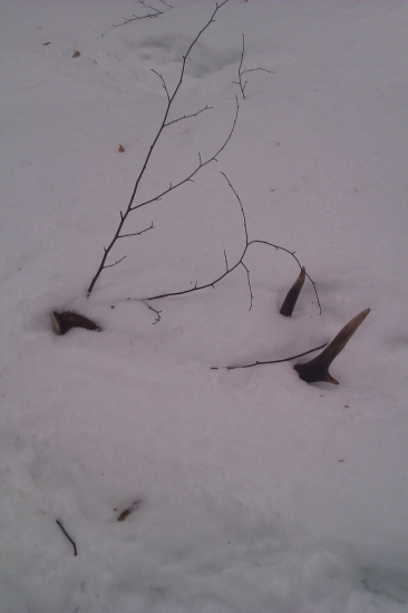 konečne sa zadarilo aj mne :))