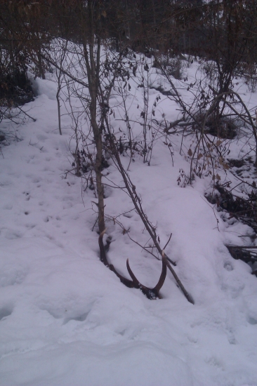 Keď srdce podskočí 1 :)))