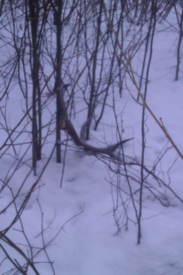 Keď srdce podskočí 2 :)))