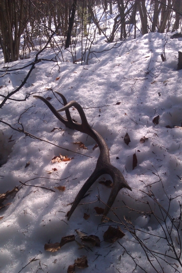 Dnešný 12 torák..