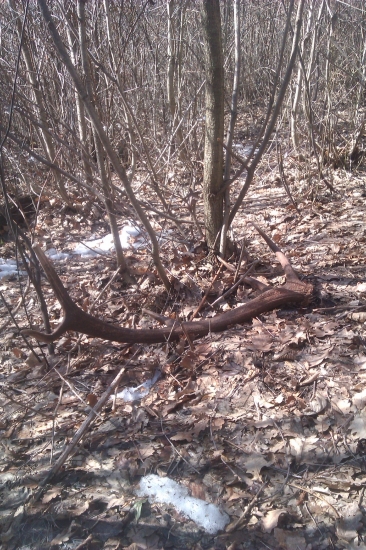 Dnešný 10 torák..