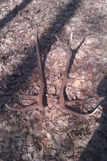 včerajšì 10 torák naplnil tohtoročnù 10-tku :)