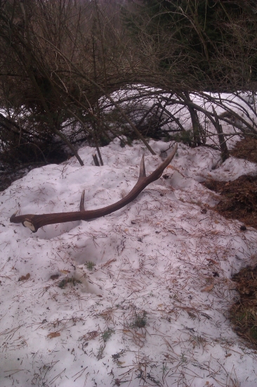 dnešny 12 torak...2,70 kg