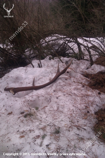 dnešny 12 torak...2,70 kg