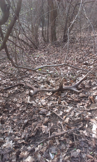 12-torak z dneška :))