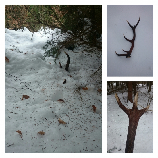 Dnešný 12-toracik :))) prvý tohto roku..