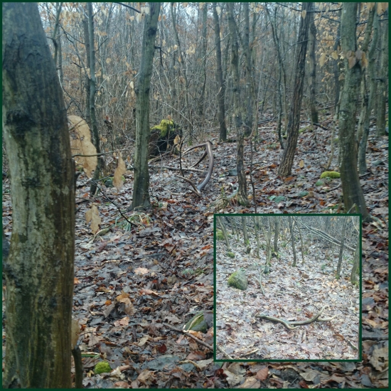 dnes sa zadarilo ;-) 12-torak 2,70 kg a vlanajsi osmacik :)