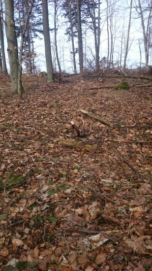 Vcerajsi ...na poziadanie pre tesovan ;-)