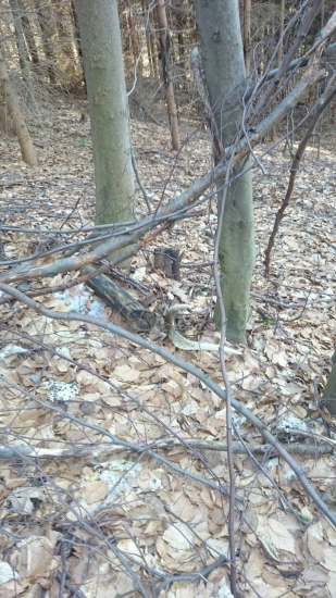 Schovany,neschovany beriem ;-)