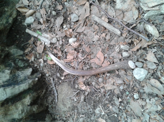 pri solisku Poľovníka40