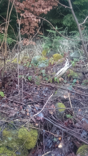 Vlaňajši 10 torak.. Váha 2,5kg