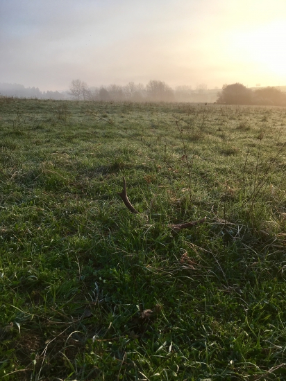 Ranný 10-toráčik :)