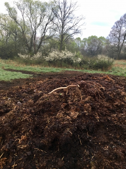 Včerajší osmáčik