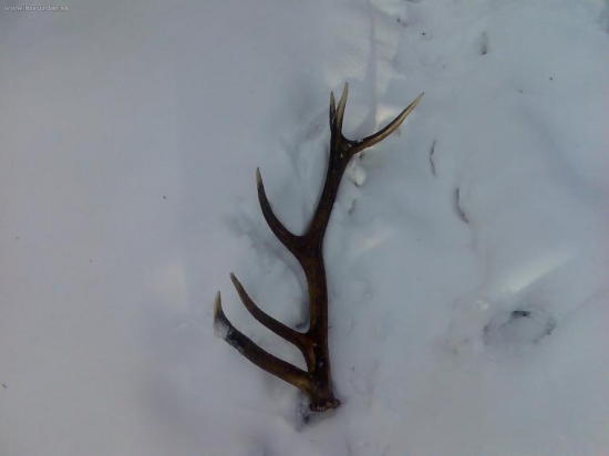 Takto sa to začalo:)