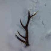 Takto sa to začalo:)